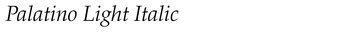 Palatino Light Italic